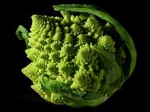 220px-Fractal_Broccoli.jpg